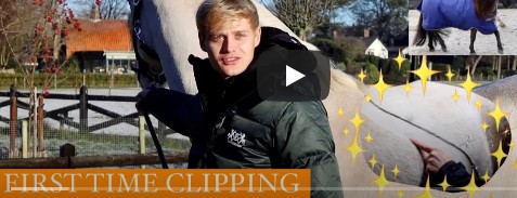 Stable vlog